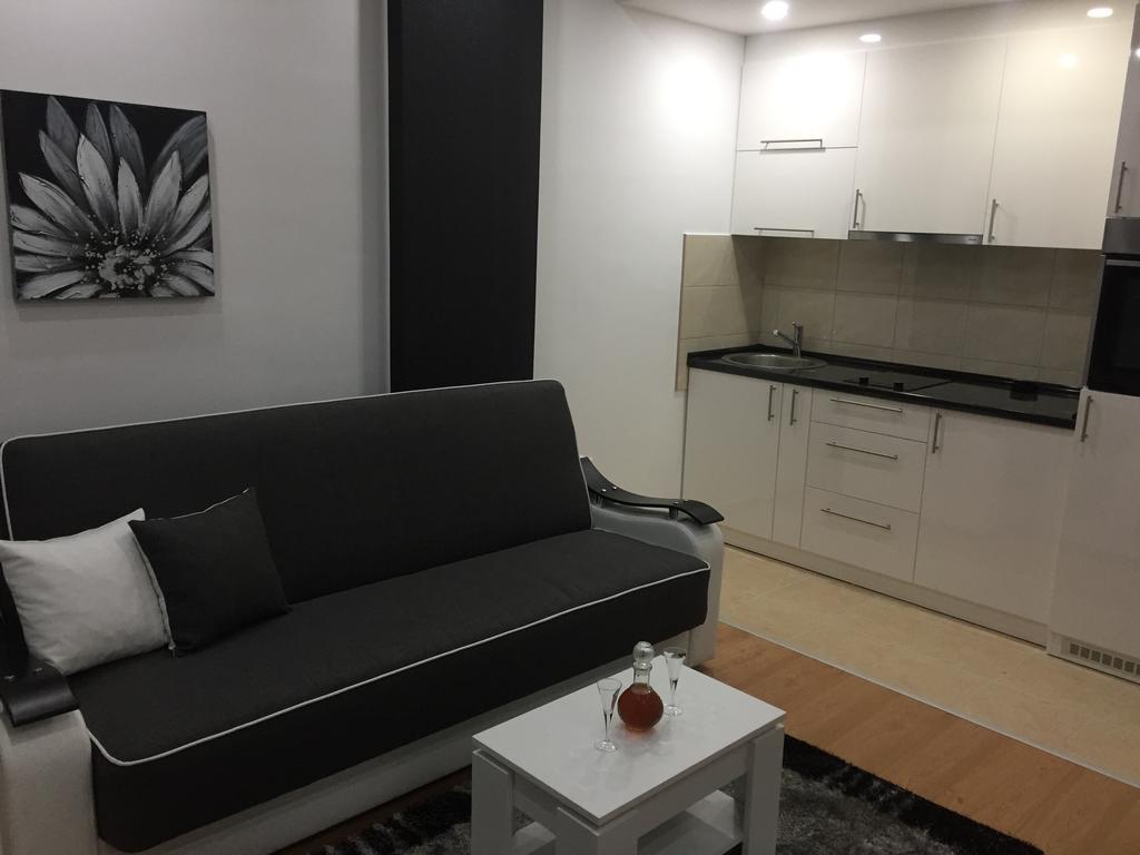Apartman Jezdic Banja Koviljača Eksteriør bilde